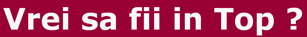 Director Web - Vrei să fii în Top ?